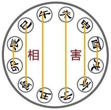 八字六害|八字基础知识“地支六害”